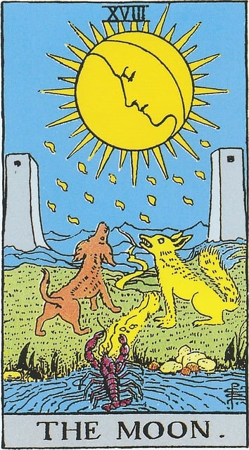 The Sun